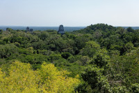 Tikal